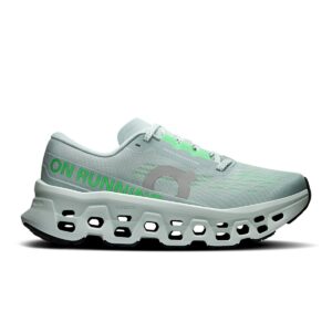 on cloudmonster 3 brook flurry
